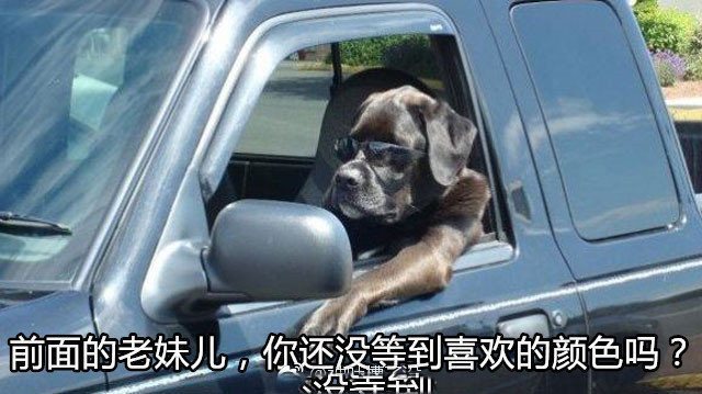 把那个打瞌睡的沙雕,给我丢出去!