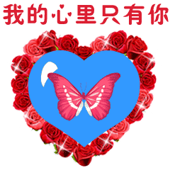 240_240gif 动态图 动图