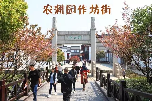 299元抢永联小镇水上木屋别墅萌宠乐园水世界农耕园游乐园