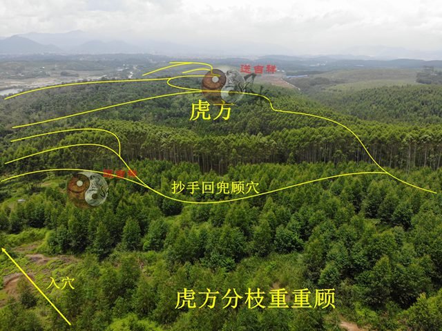 在高空看虎方,虎方为人工水利之方,于穴山右方砂首,向前伸展,分布支牙