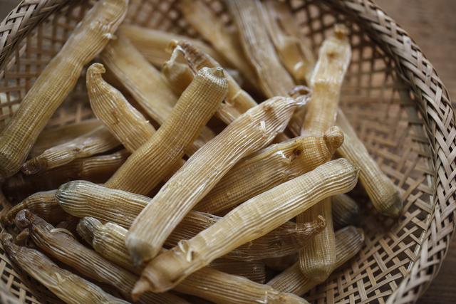 北海最火的海鲜海人参凭啥卖这么贵它哪些冷知识是你不知道的