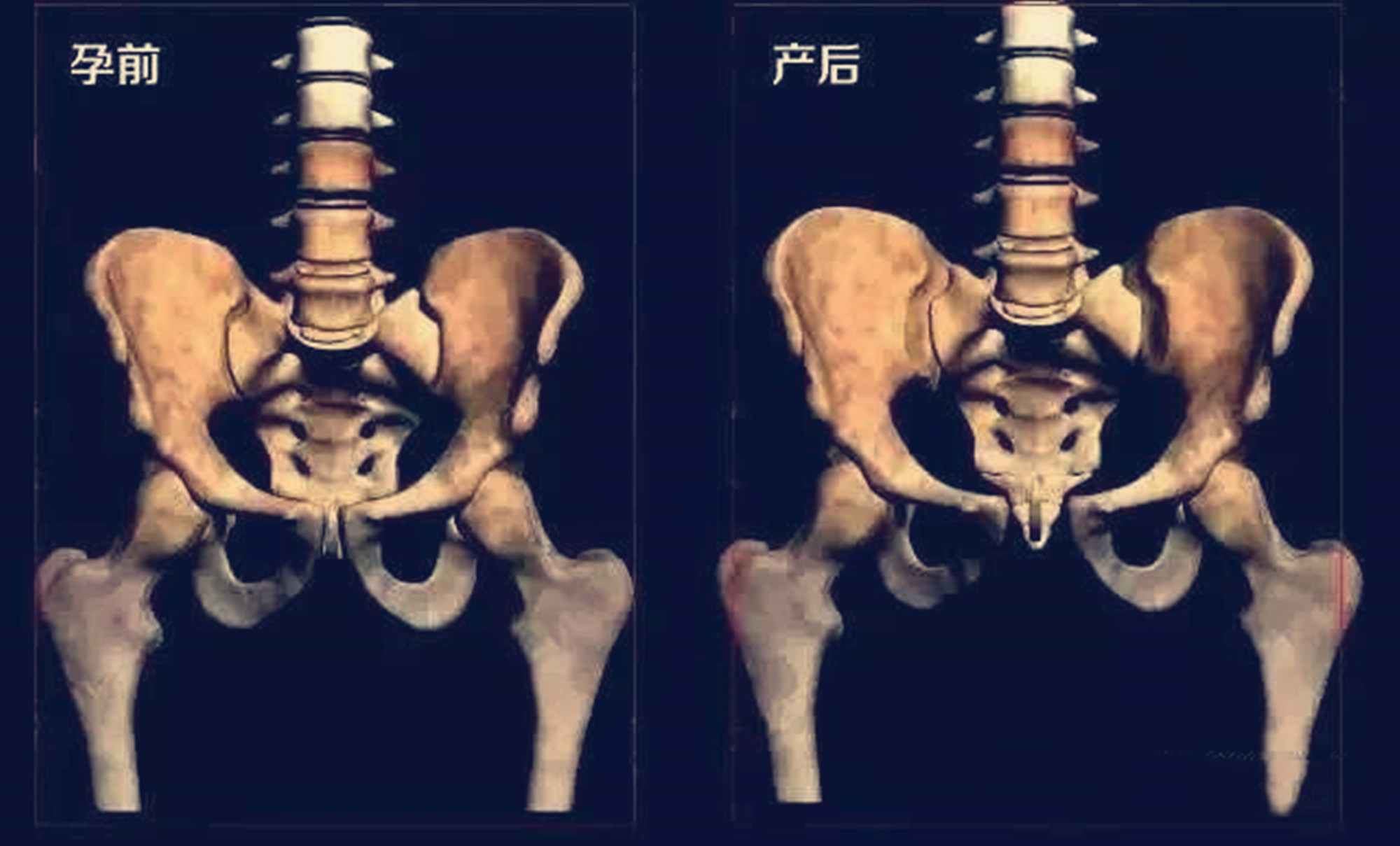 原创孕妈的肚量有多大怀孕后内脏被挤成这样每个阶段都是煎熬