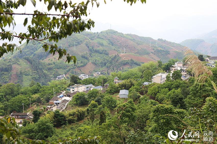 网保山8月7日电(李发兴,程浩)云南保山市百花岭村地处高黎贡山东麓