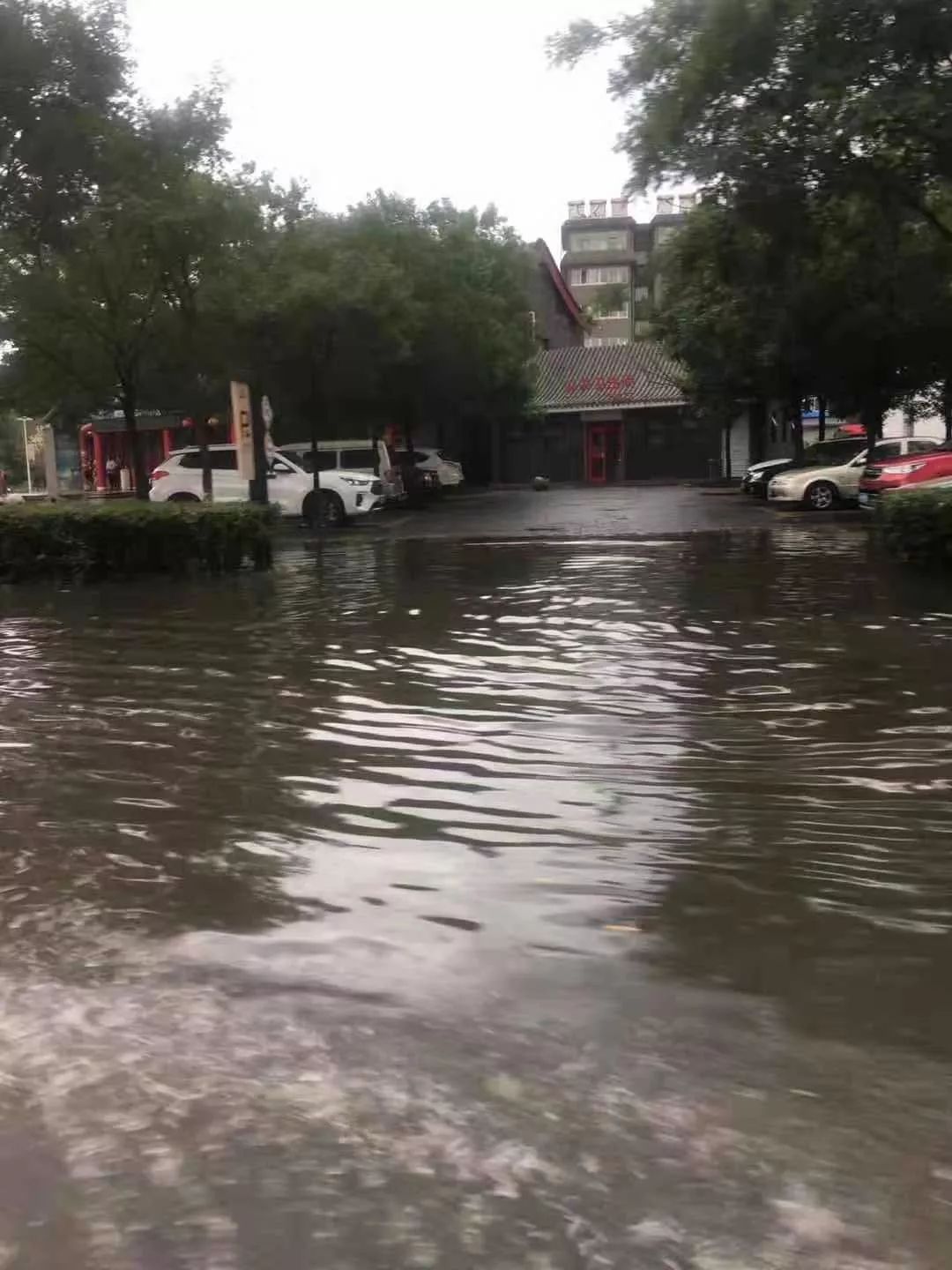 河北张家口暴雨图片