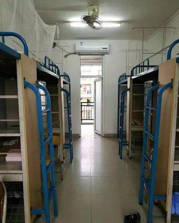 萌新攻略舒适宜居热闹哪个才是你的宿舍标签