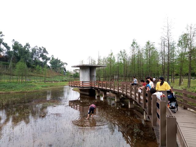 週末深圳龍崗紅花嶺公園人好多,你們想不想看看?