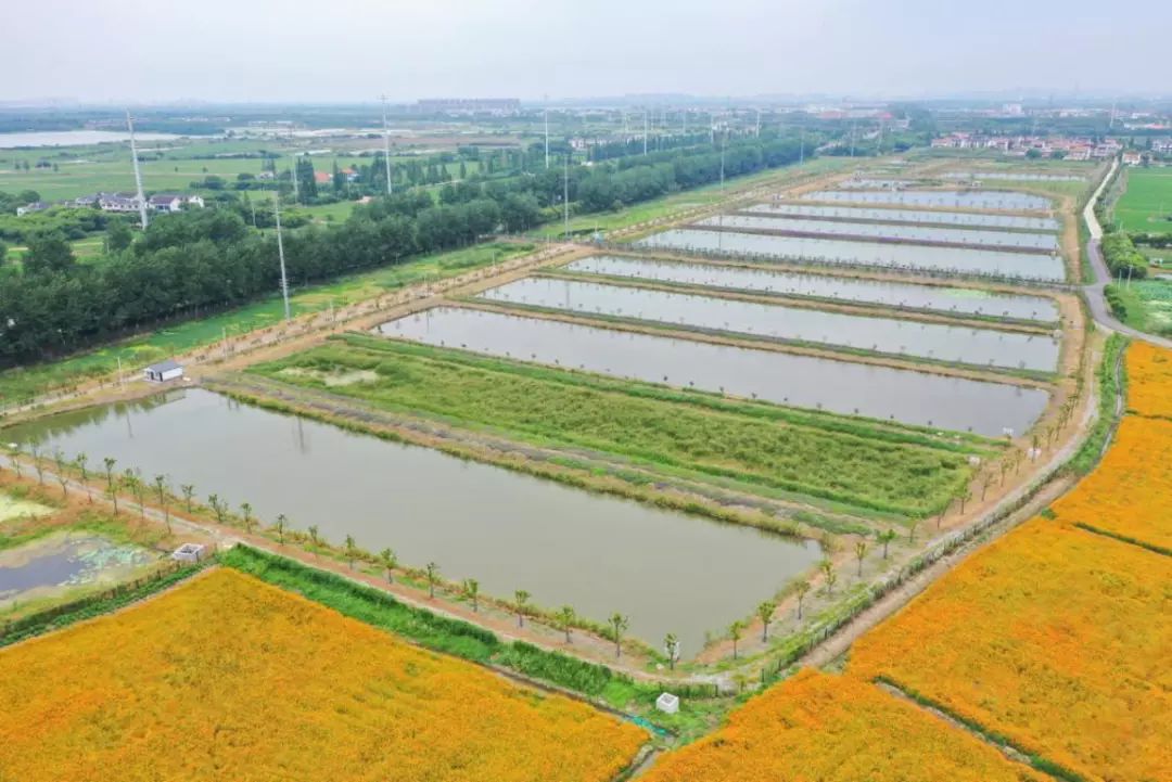 零散的农田和鱼塘分布在河湾中还是一片淤泥堆积的荒草滩很难想象数年