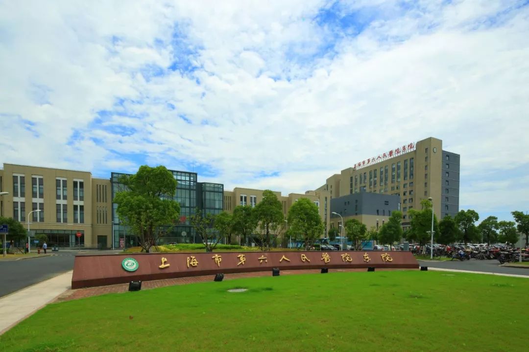 新生攻略从一首吃心绝对到临港high歌这本通关法宝助你秒变电机老司机