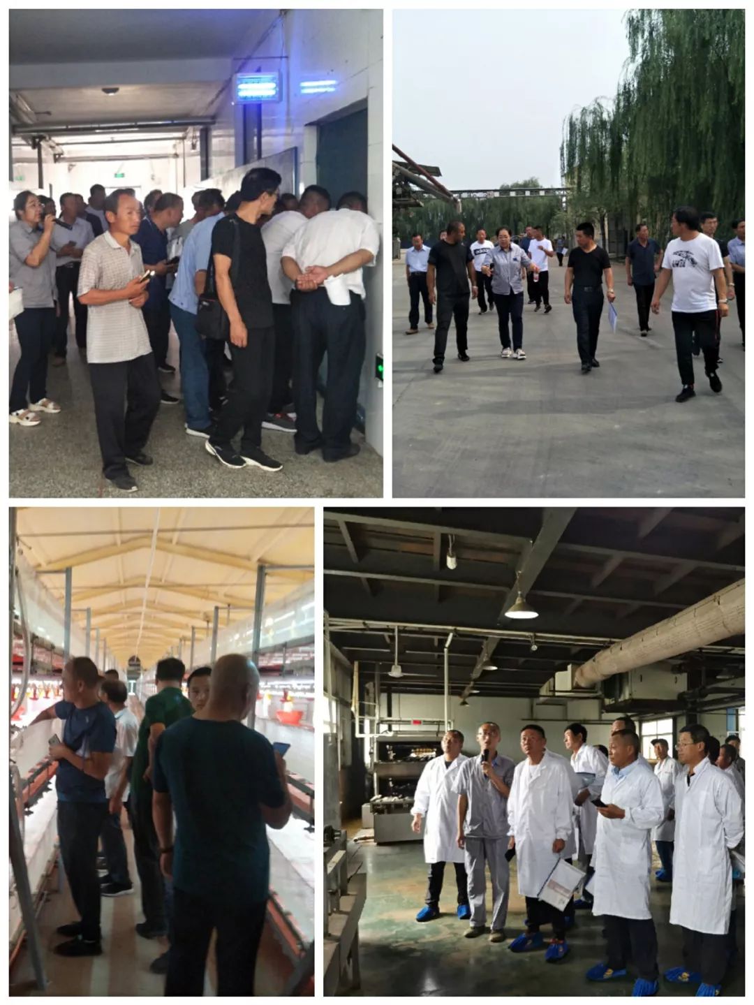 【新闻】内蒙古乌兰察布市商都县副县长冀飞一行莅临荣达参观指导