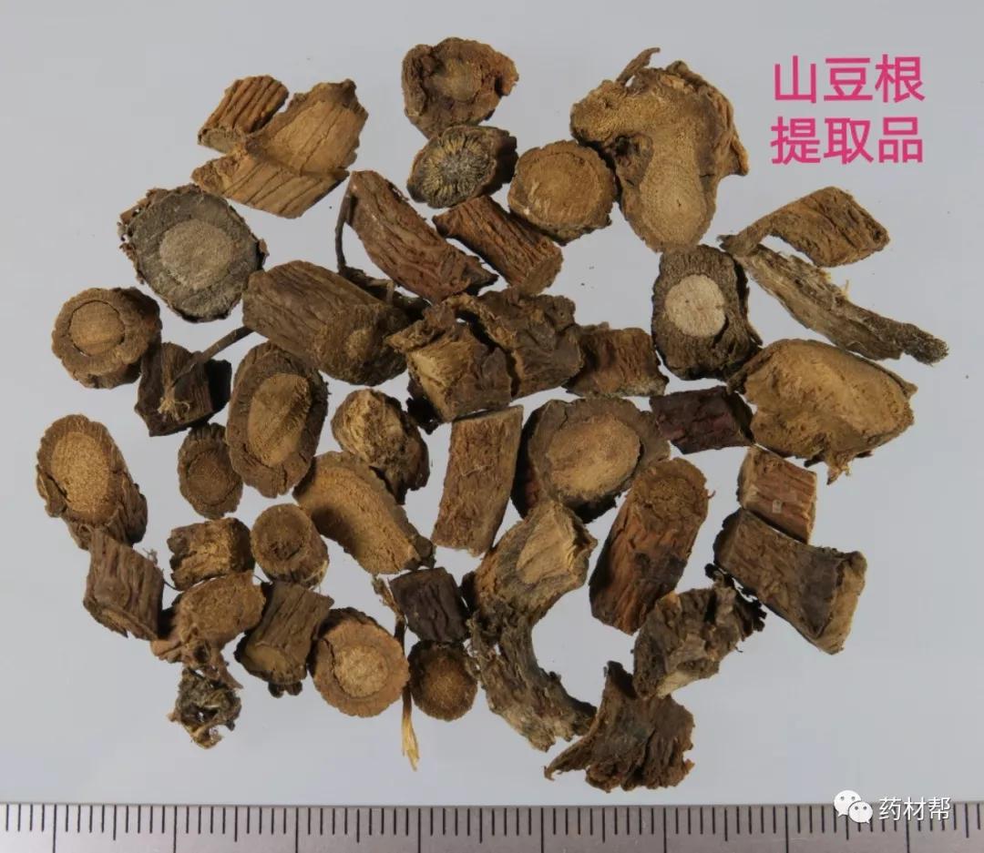 中药材真伪标本赏析甘遂乌梢蛇桃仁杏仁山豆根柏子仁