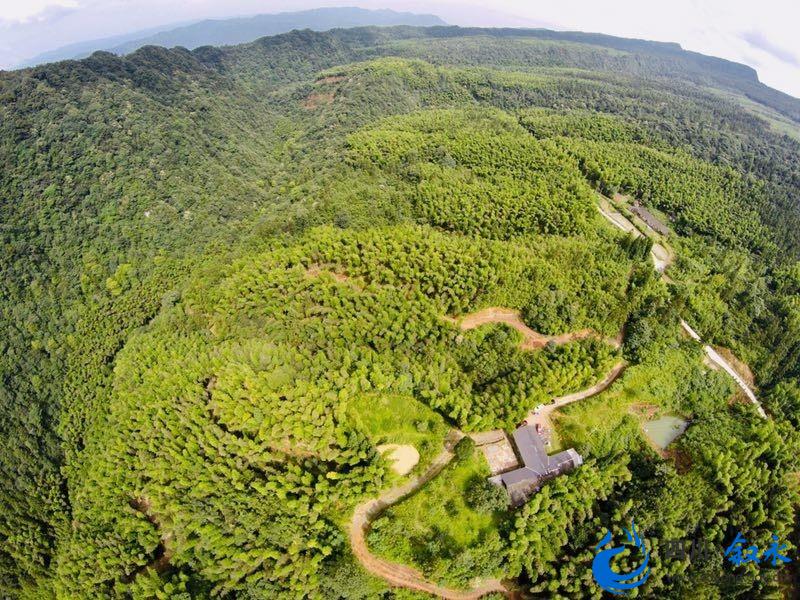 叙永县国有林场探索无人机巡山护林