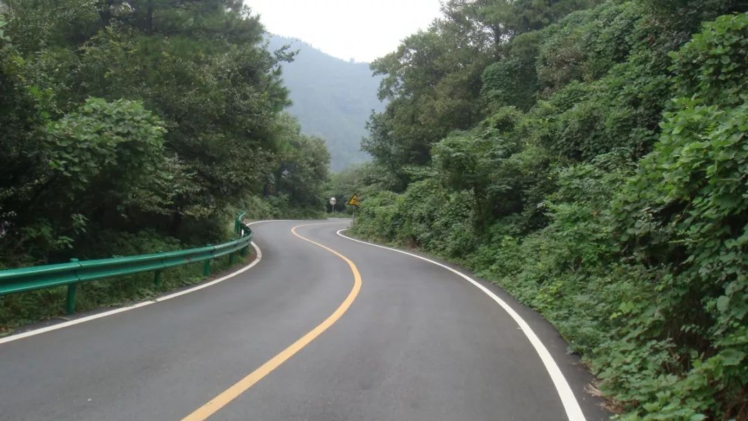 树间蝉鸣,泥土芬芳植物的经络向阳生长两旁山色苍翠一入茅山,山路盘旋