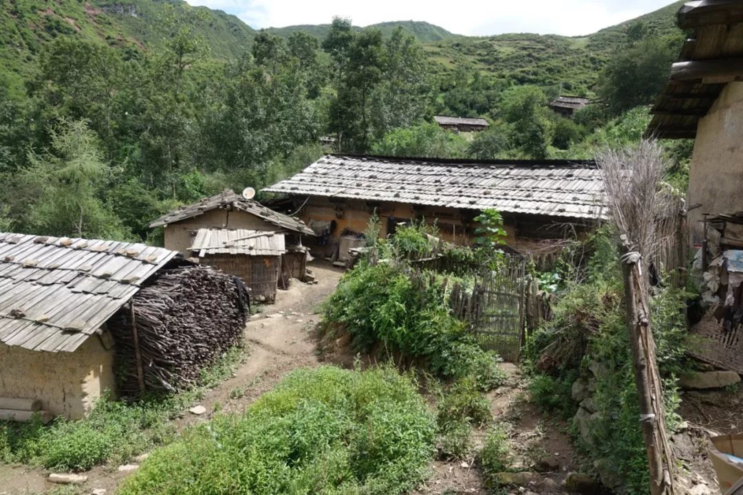 美遇艺行各美其美美美与共中国美术学院赴四川省西昌市社会美育暑期