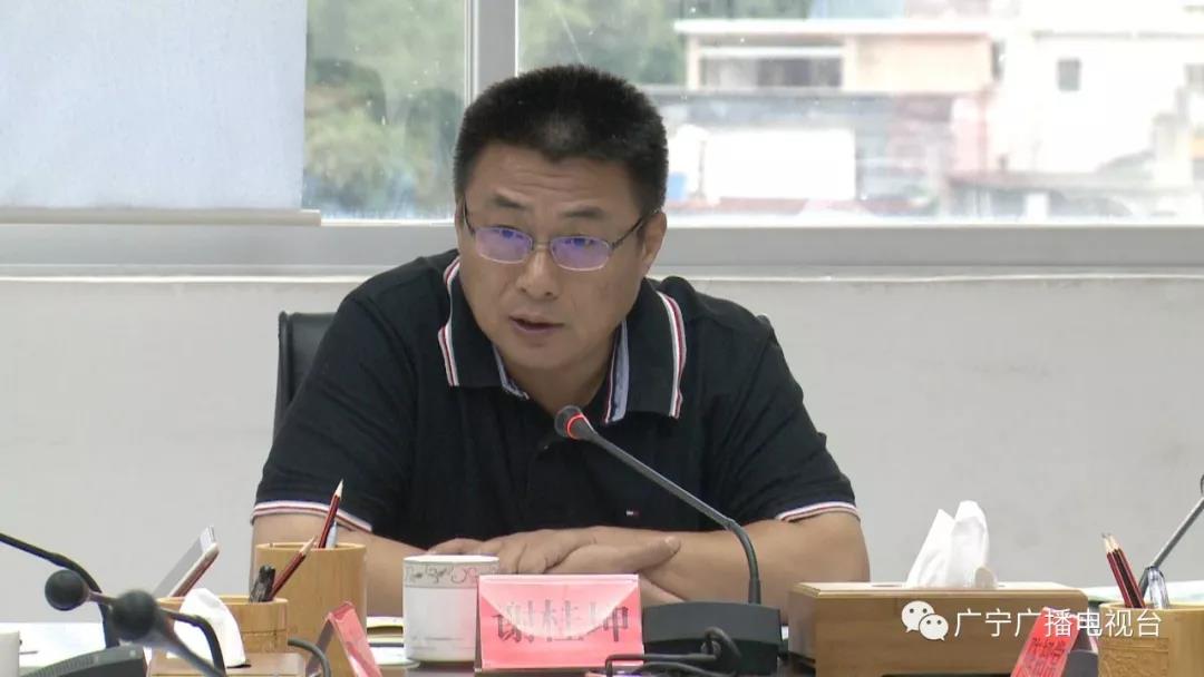 广宁对江屯示范样板镇书记工程规划设计方案进行审查