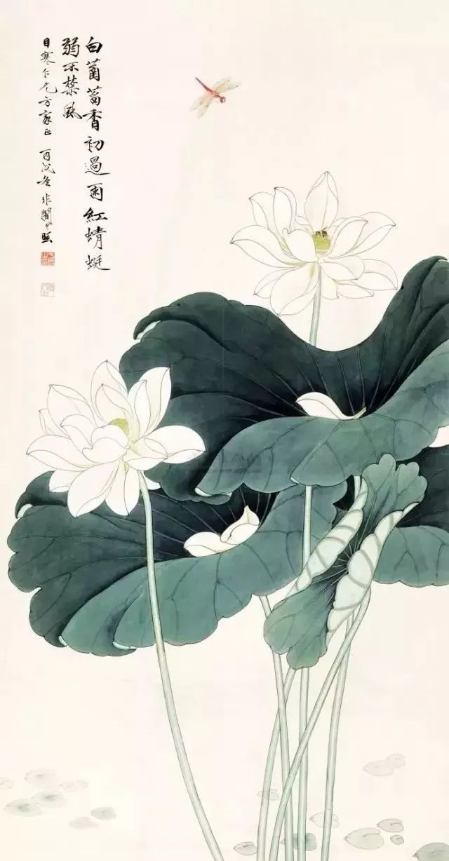 爱莲说中的莲就是这样的