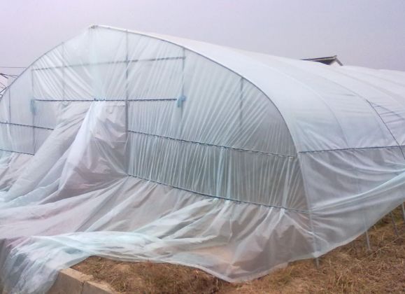 废旧农膜别丢弃五大妙招防雨又防风