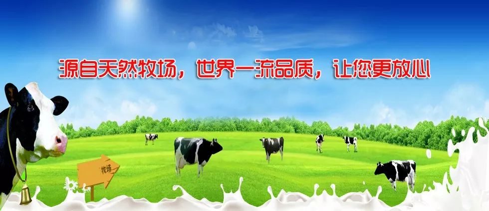 同学企业山东百慧乳业股份有限公司