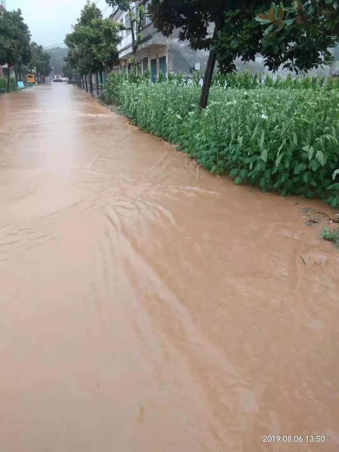 淅川年度第一大雨如此凶猛多处积水严重多图视频