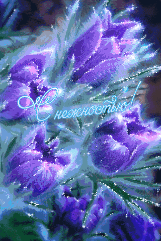 320_480竖版 竖屏gif 动态图 动图