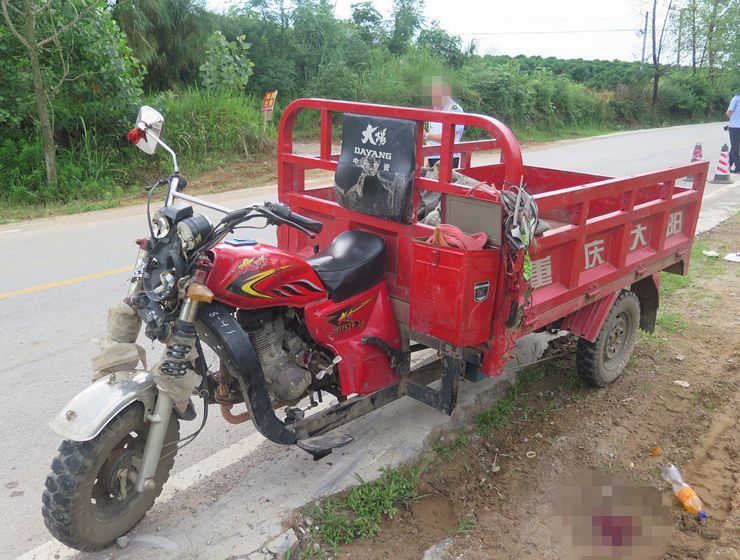 沿x107县道南边山往六塘方向行至六塘镇政府路段时,遇到对向赵某赶牛