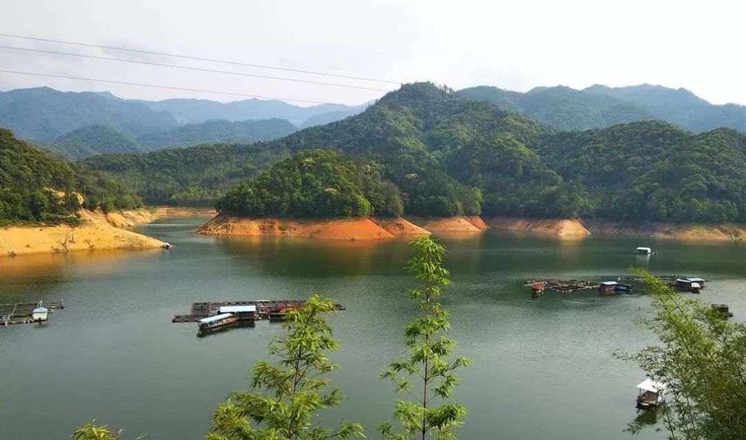 万安梅花湖水库简介图片