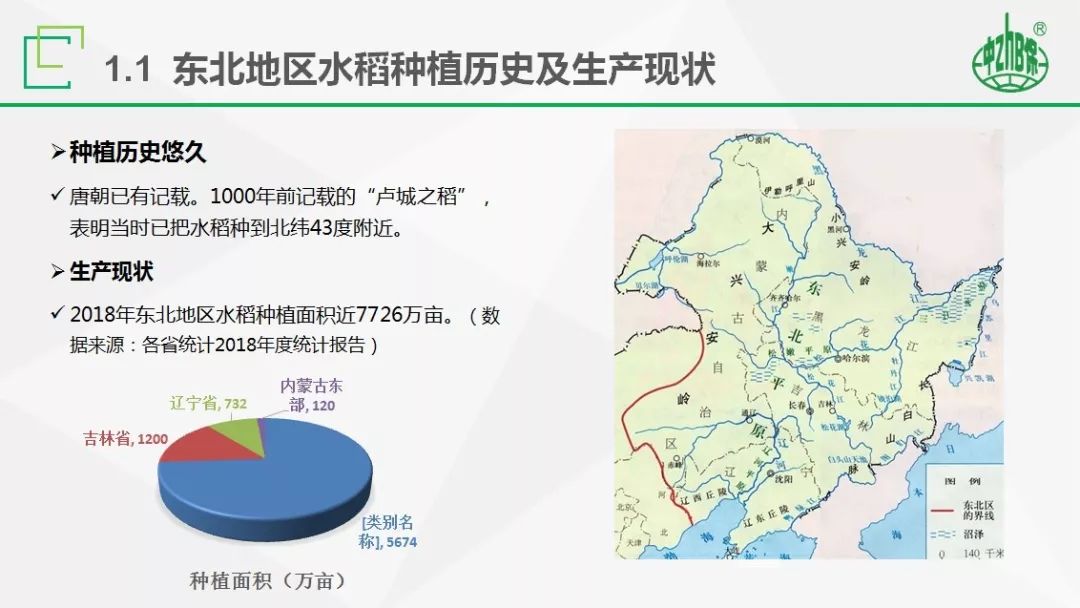 聚焦重点作物,提升推广效率——集团开展水稻种植管理与病虫草害防治