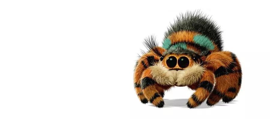 微观世界冒险家昆虫总动员2映后给小朋友的科普课