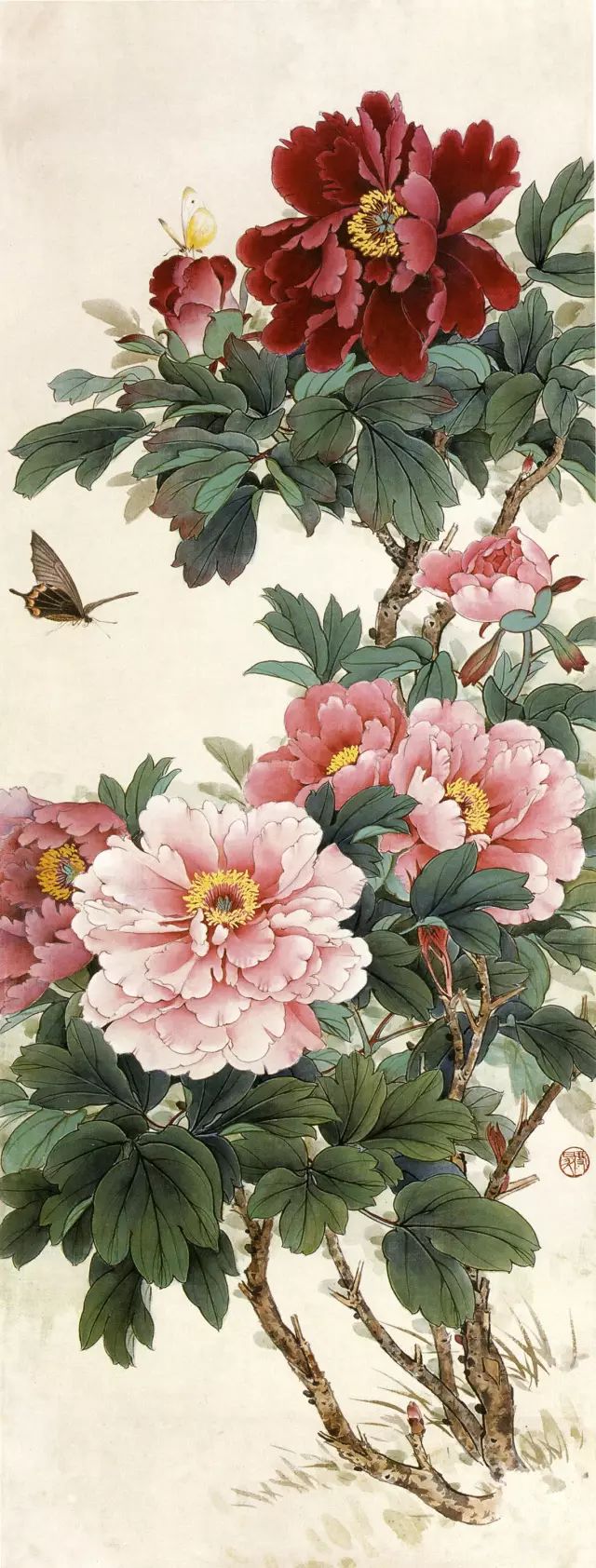 中国最著名牡丹画家图片