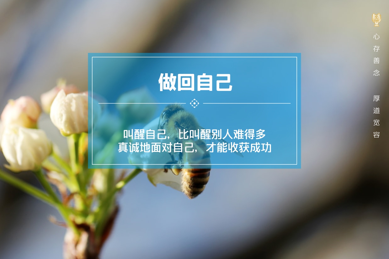 人生永不言败