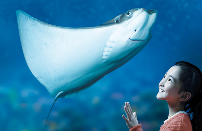 精选一组奇趣图片;火焰是没有影子的,牛鼻鲼长途迁徙