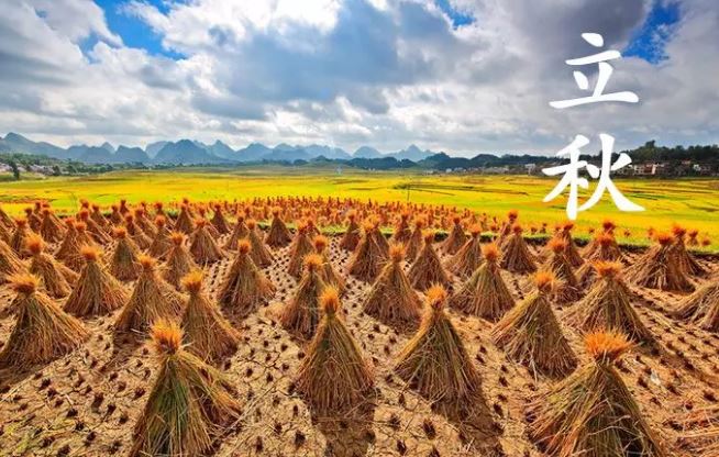 广东立秋39你在北方贴秋膘我在南方洗桑拿