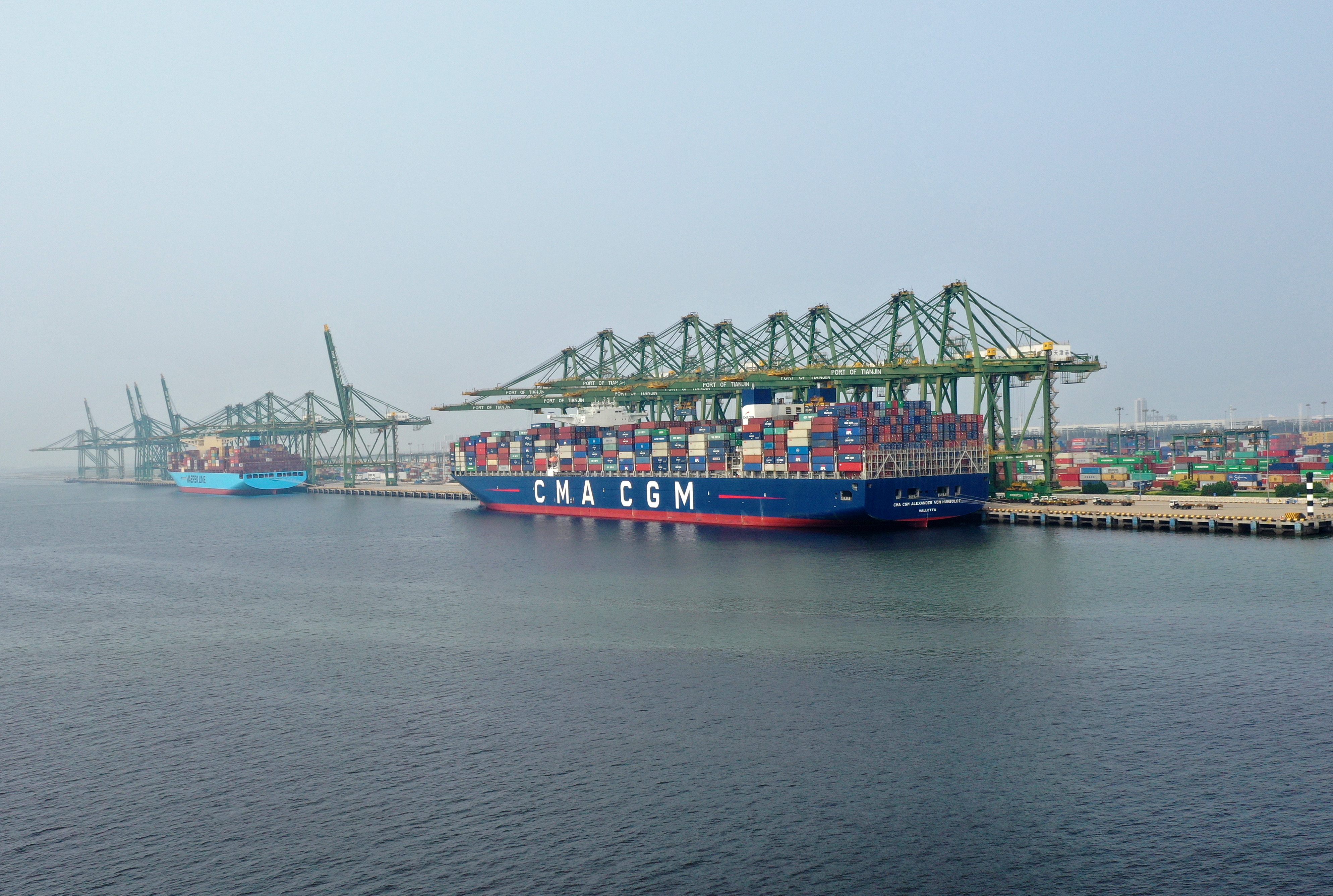 天津中心渔港码头图片