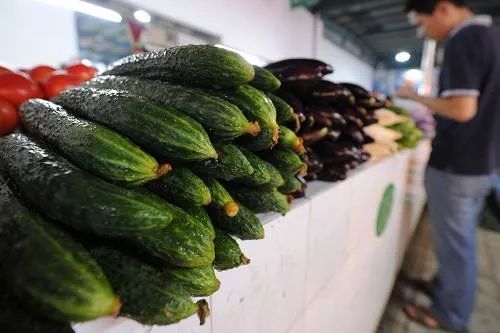 高温天黄瓜价格跳跃性上涨