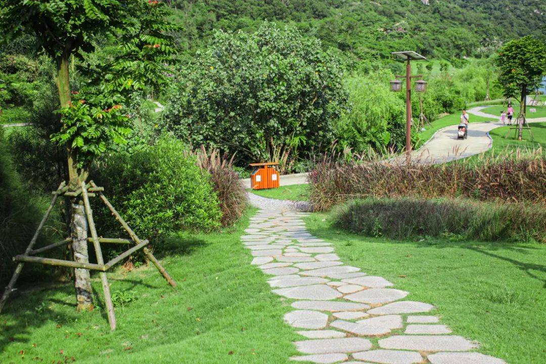 跨越半座岛我在厦门这座隐世公园里度过了凉爽夏日