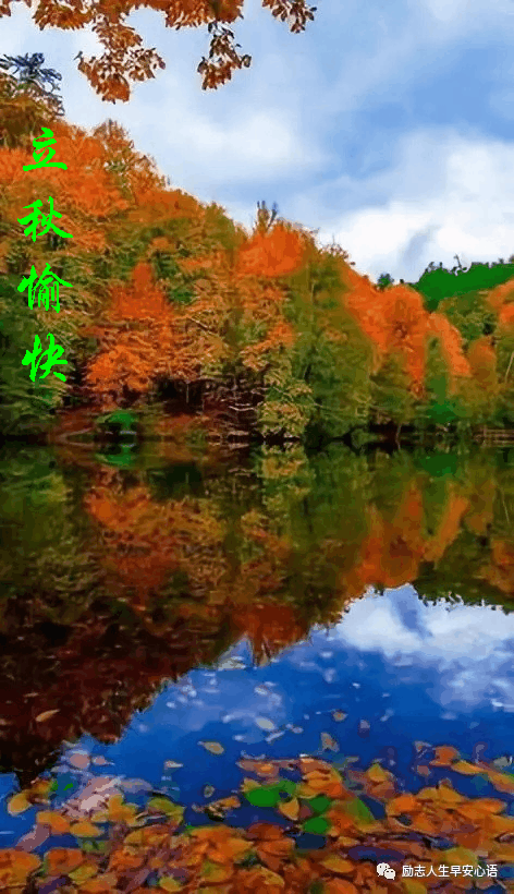 今日立秋把最美好的祝福送给您