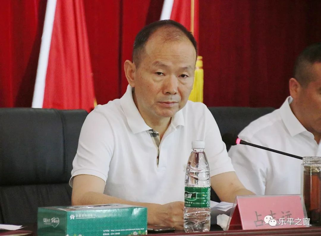 市下派工作组工作人员,众埠镇镇村干部,党代表,人大代表,政协委员