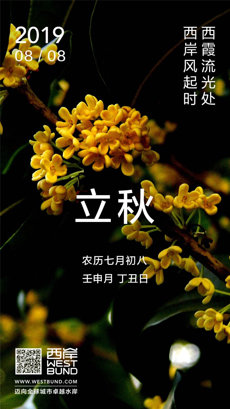 凉风起孟秋至精神秋膘还得西岸贴