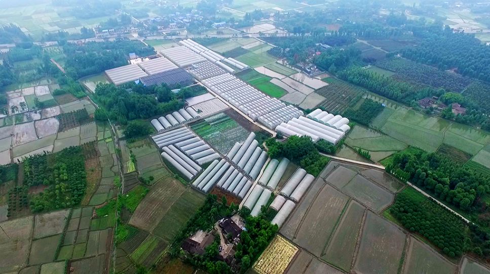 8万人口的胥家镇,柏条河,蒲阳河穿境而过,镇域内水网密布,沟渠纵横