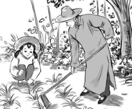 爷爷的菜园