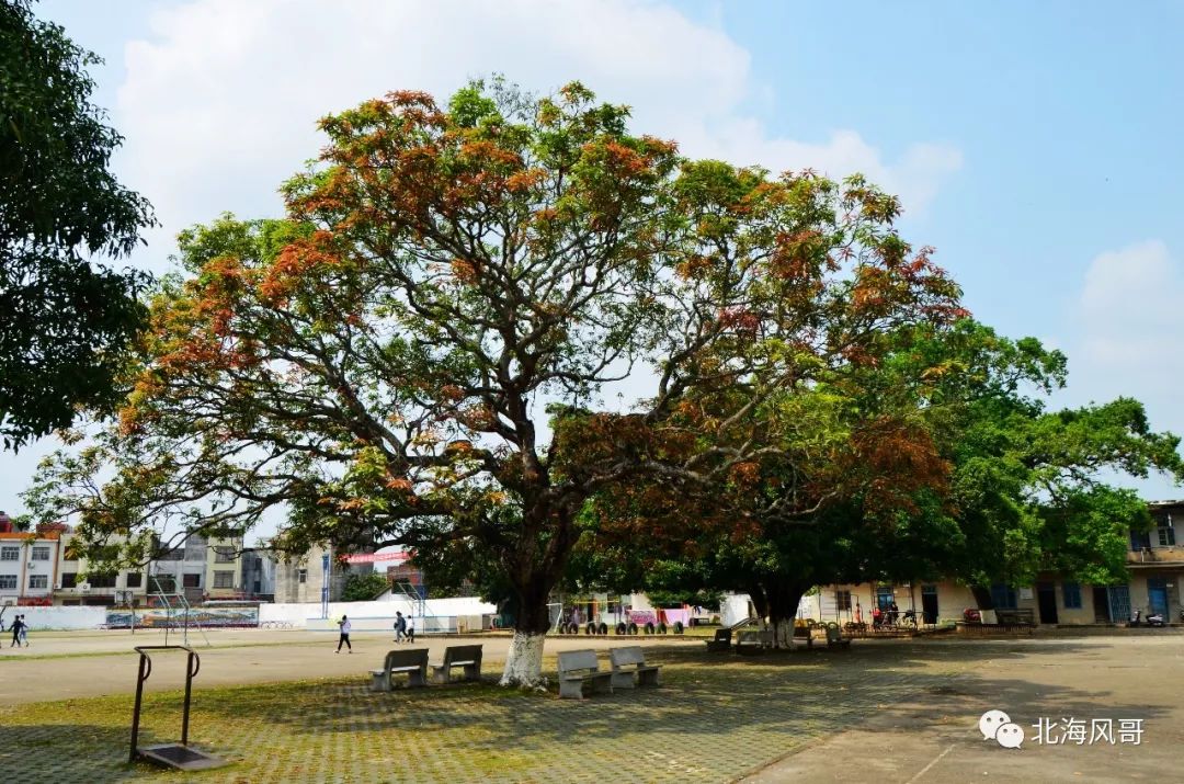 【通 知】关于举办公馆中学师生联谊宴会