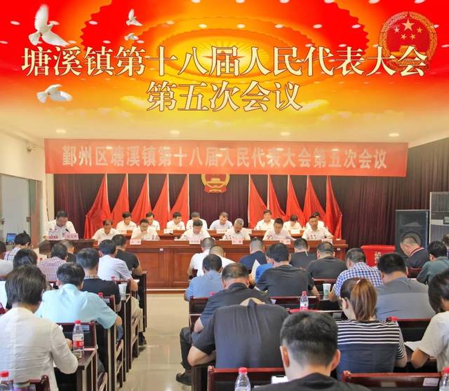 塘溪镇第十八届人民代表大会第五次会议胜利召开