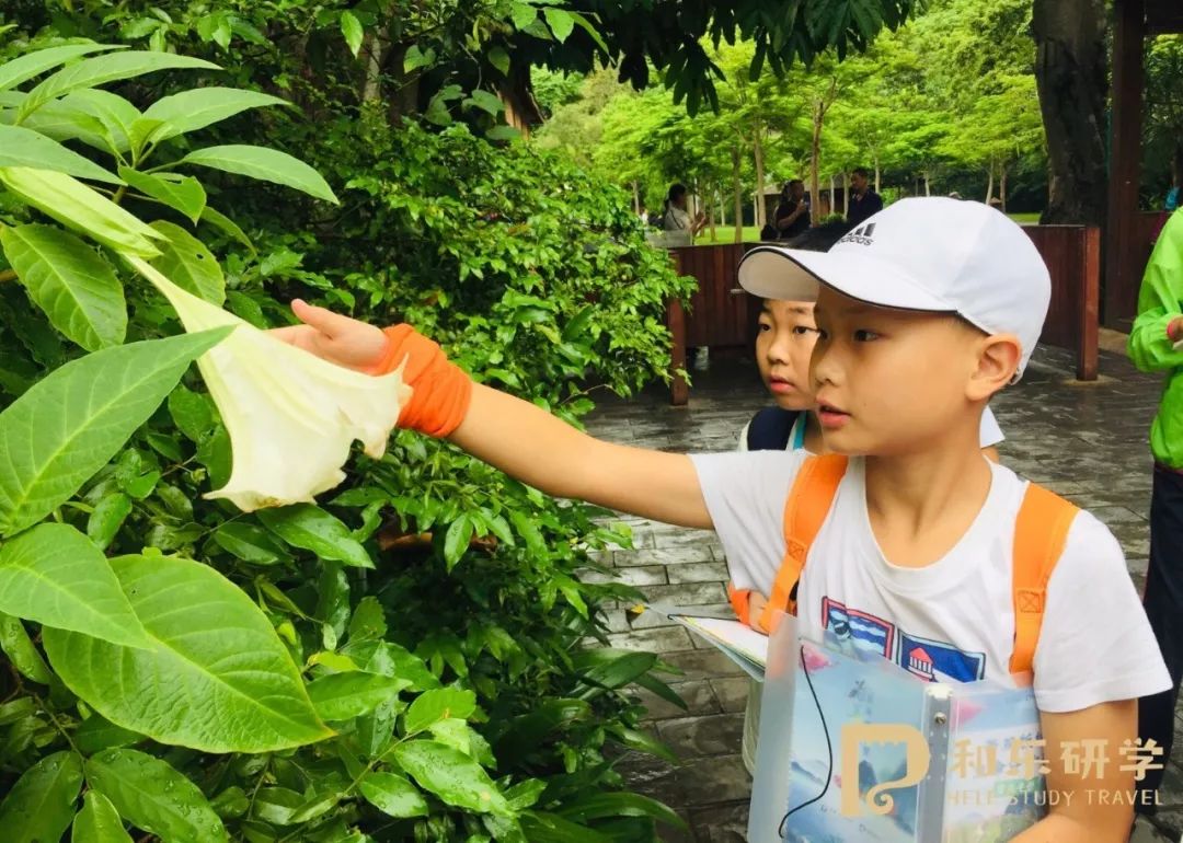 和乐教育和乐研学西双版纳最后一站植物园之旅蝴蝶谷奇遇难忘的结营