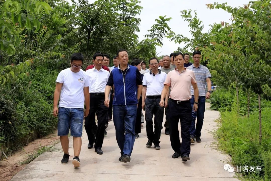 曲木史哈赴甘洛调研督导抢险救灾和脱贫攻坚工作视频