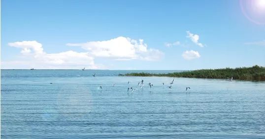 【纪实工厂】《话说大庆百万年》——探秘松辽古大湖 下集