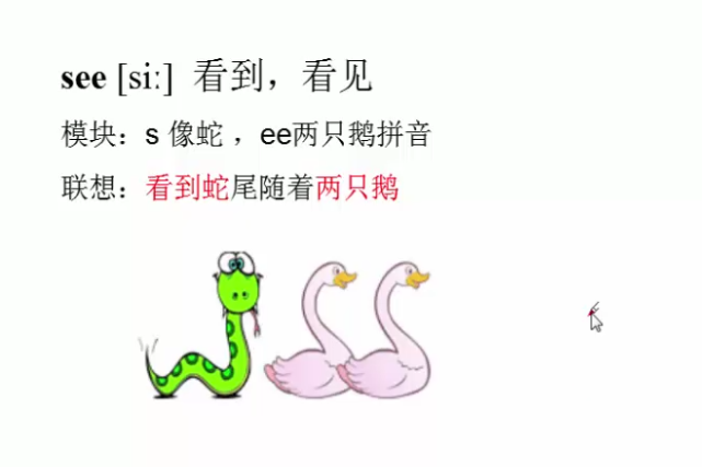 怎么背单词呢来看示范