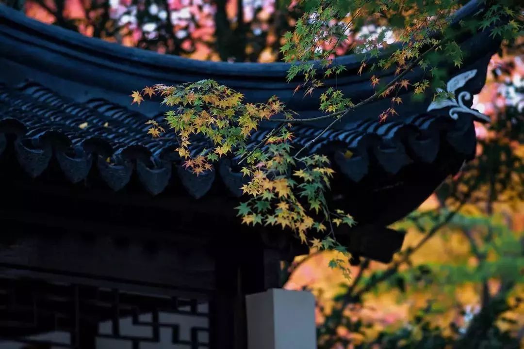 一声叶落,秋风重,阵雁离,山枯山远,万绿萧疏,花飞香离,人在庭院,人在