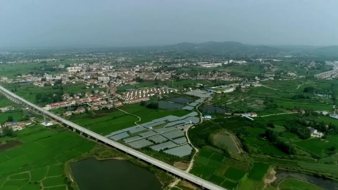 发展的快车道南漳县九集镇作为农业大镇自乡村振兴战略实施以来热情