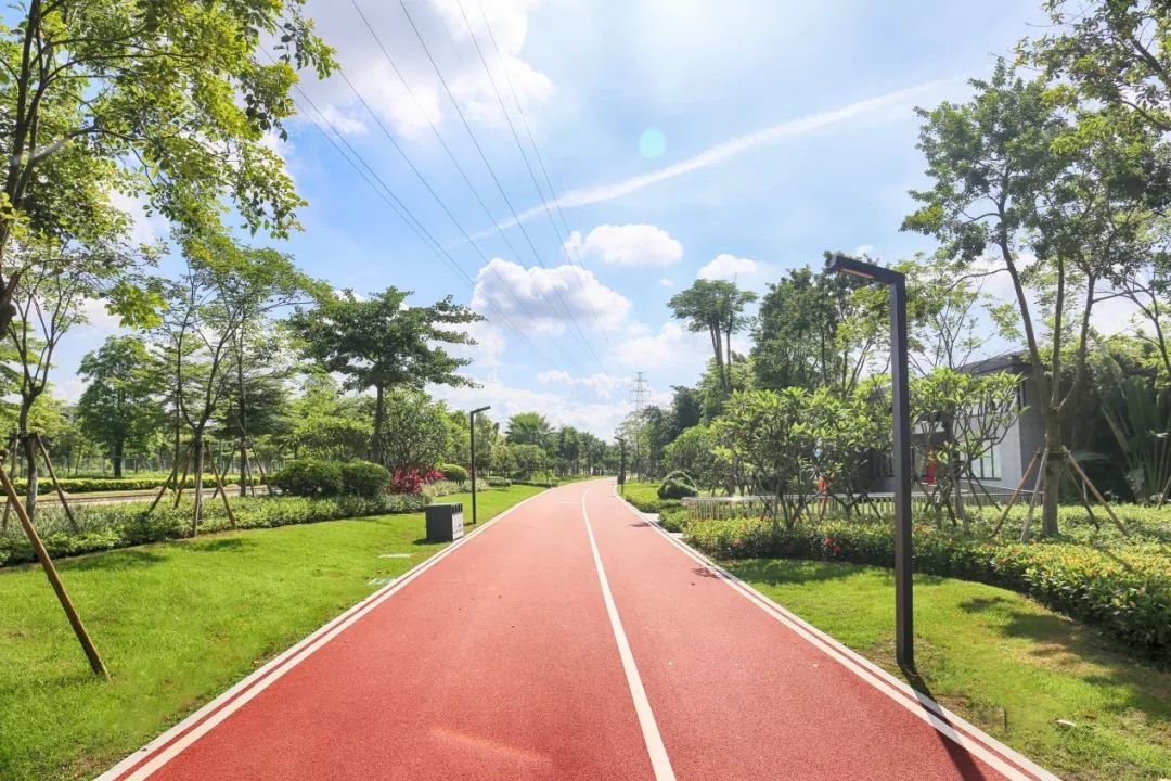 5公里的环湖绿道,结合龙溪湖公园升级改造项目建设,龙溪湖位于麻园河
