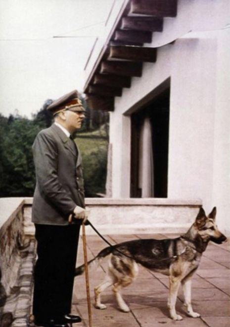 希特勒高清老照片,希特勒和他的爱犬布隆迪,最后一张那个大肚子将军是