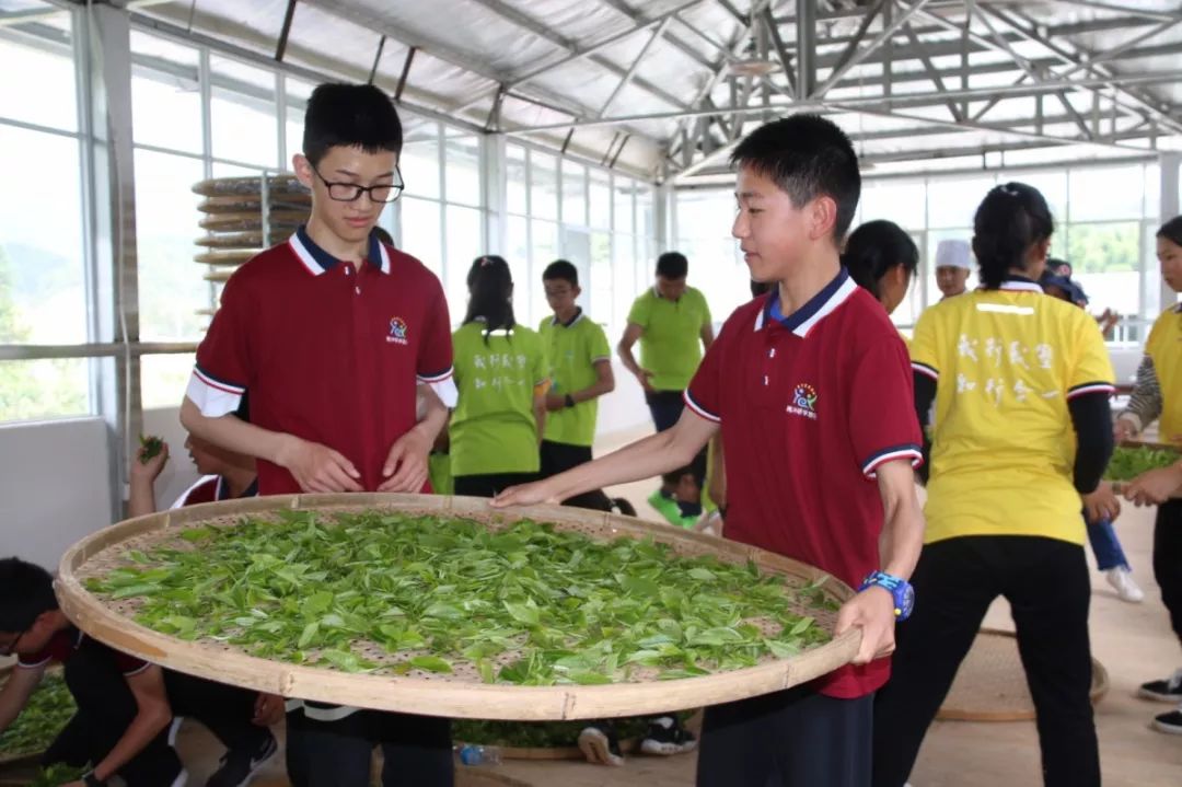 首期学生研学班走进蒲川茶文化研学基地